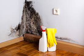 Best Residential Mold Inspection & Testing  in Artesia, NM